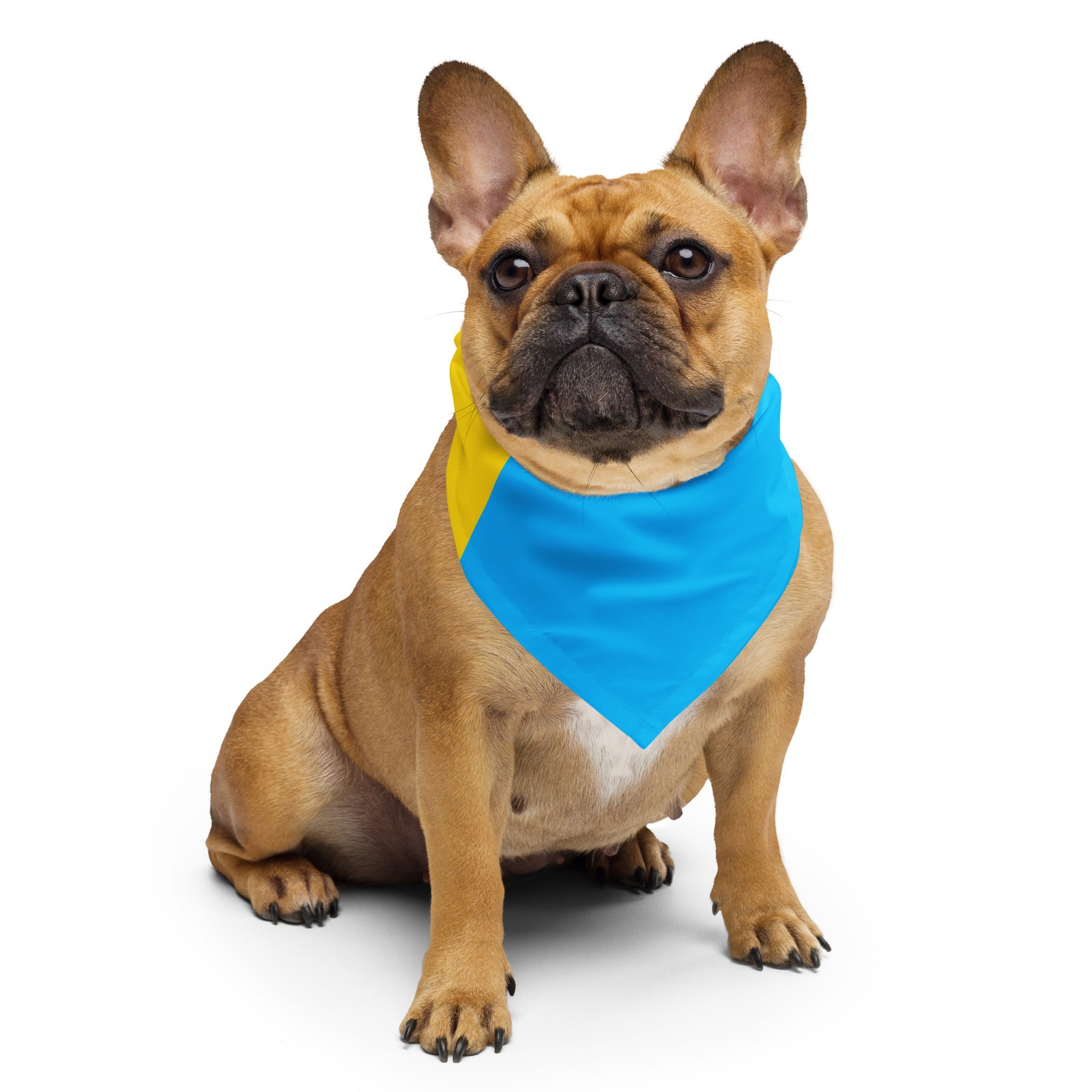 Pansexual Pride Flag, CW Design, Print Bandana