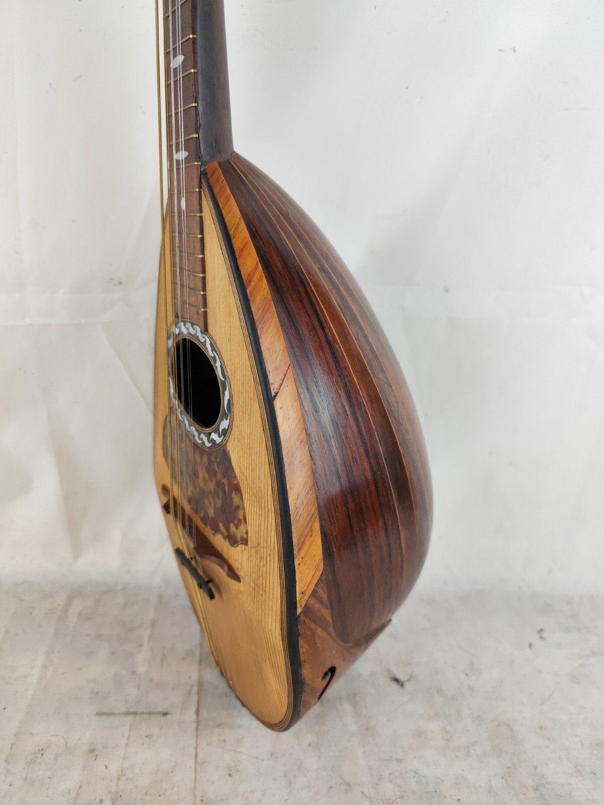 Mandolin 4/4 E. De Cristofaro 1901 Naples 曼陀林 만돌린マンドリン