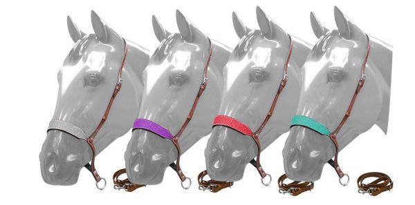 TIE DOWN 3/4" x 42" Noseband & Strap Colored GLITTER Overlay Medium Oil LEATHER