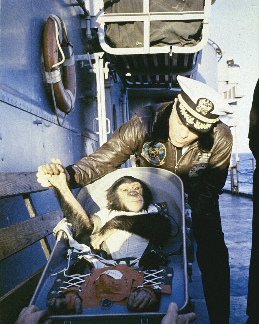 1961 NASA Astrochimp Ham - Retreival - 8x10 Photo On 8.5x11 #1326