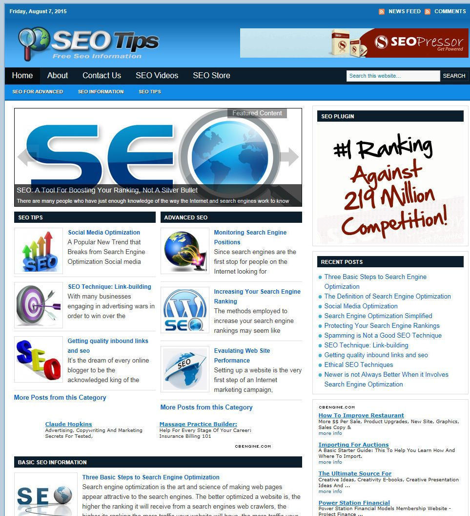 Search Engine Optimization (SEO) Turnkey Website - Affiliate income