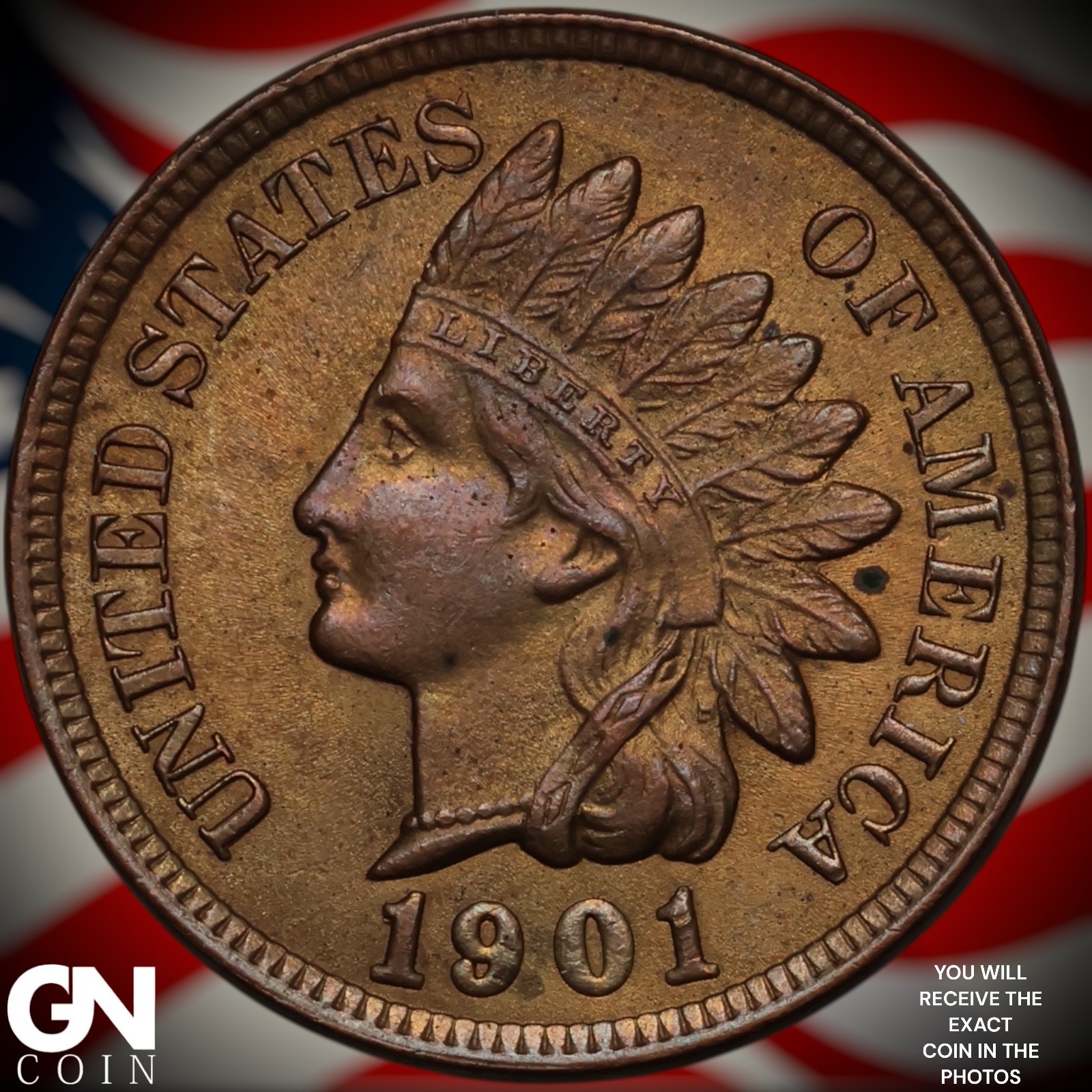 1901 Indian Head Cent Penny A4964