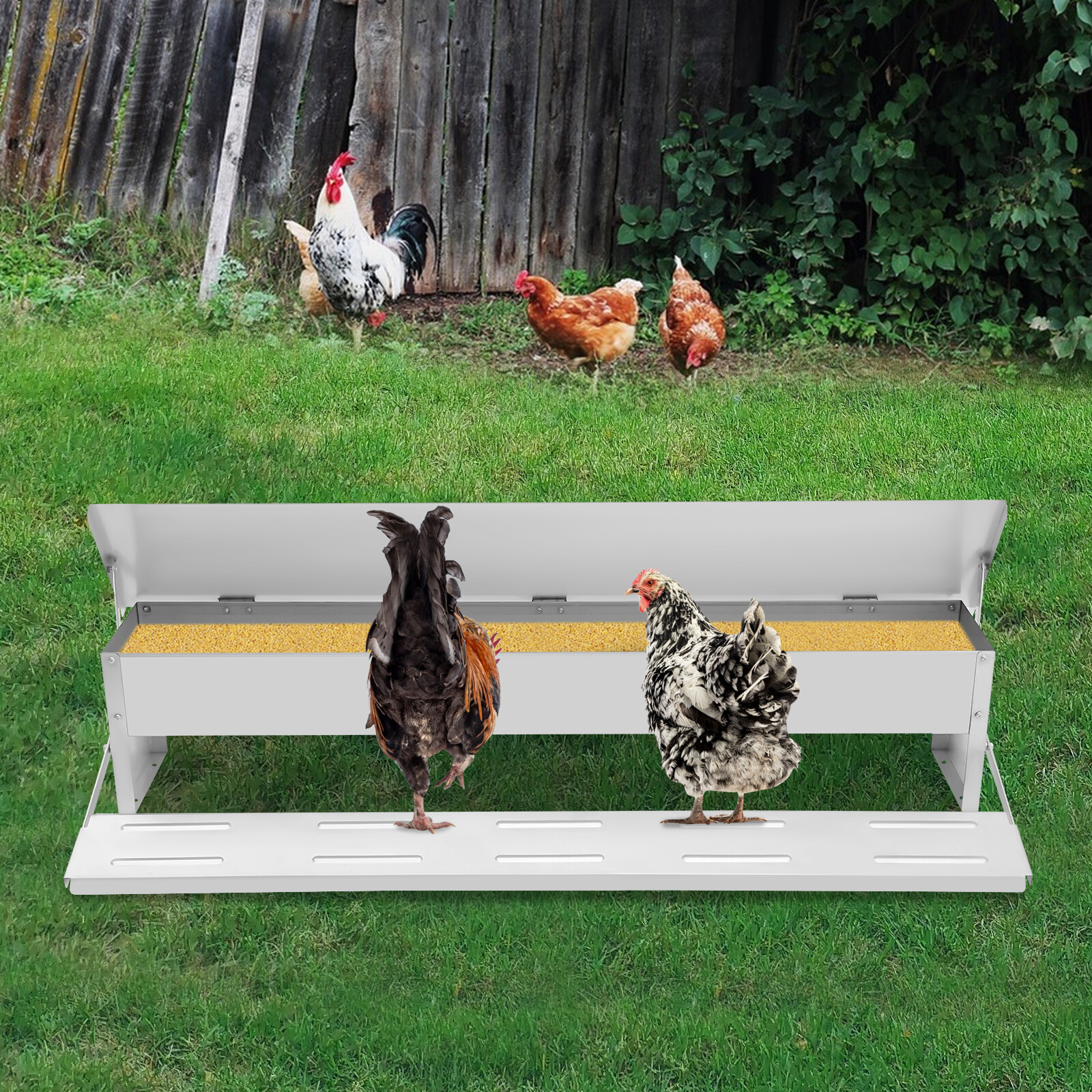 Automatic Chicken Feed Trough Feeder Poultry Trough Chicken Feeder Floor Stand