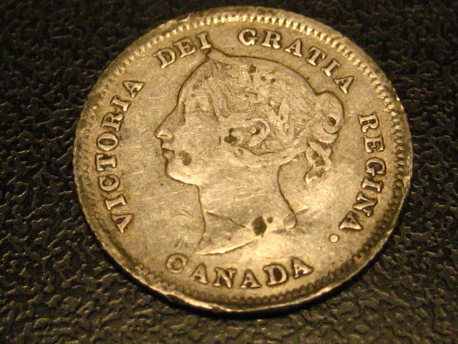 1880 H Canadian 5 Cent Silver Obv. 3