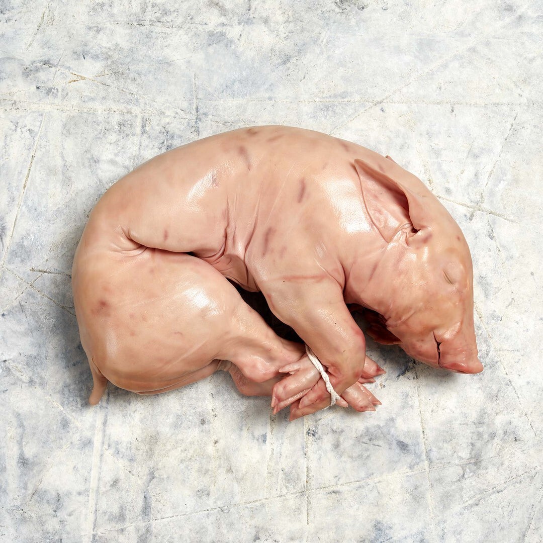 SUCKLING  PIGLET Up till 17lb USDA 100% Certified  PRODUCT From Spain US SELLER