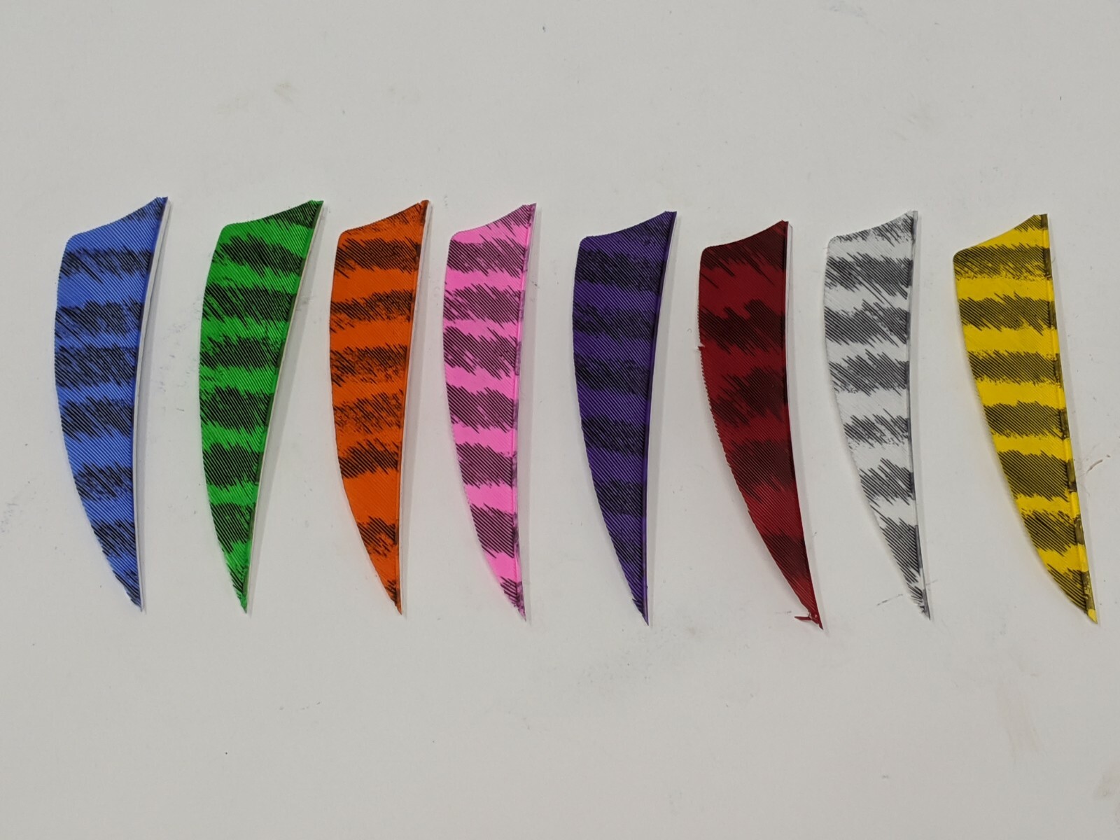 Archery Past 3" Shield Barred Feathers - 12 Pack, RW or LW