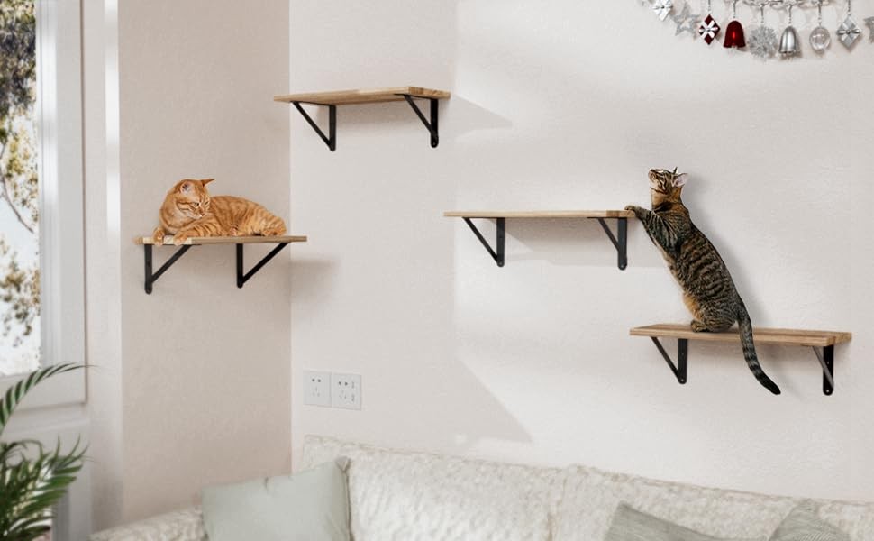 4x3 Shelf Brackets 6 Pack Wall Mount Includes Screws Anchors (Black)