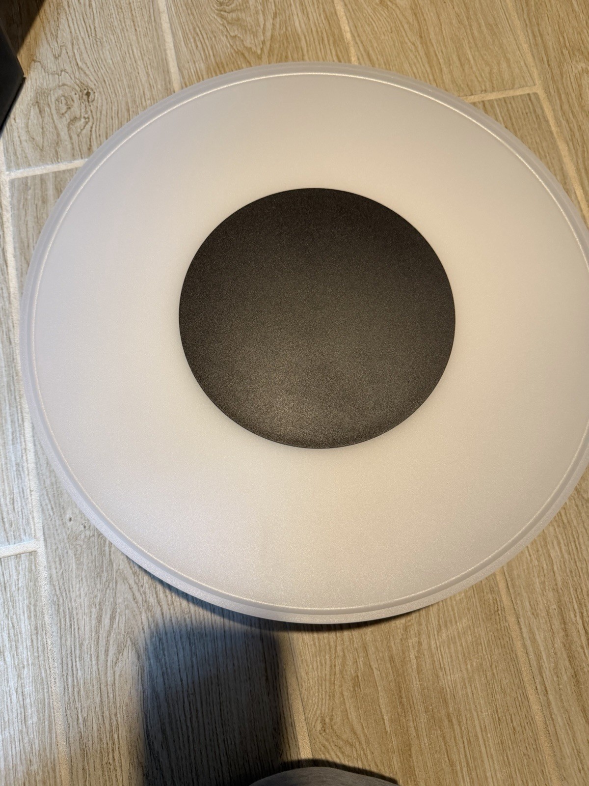 Philips Hue Ceiling medium infused light +Smart dimmer control light.