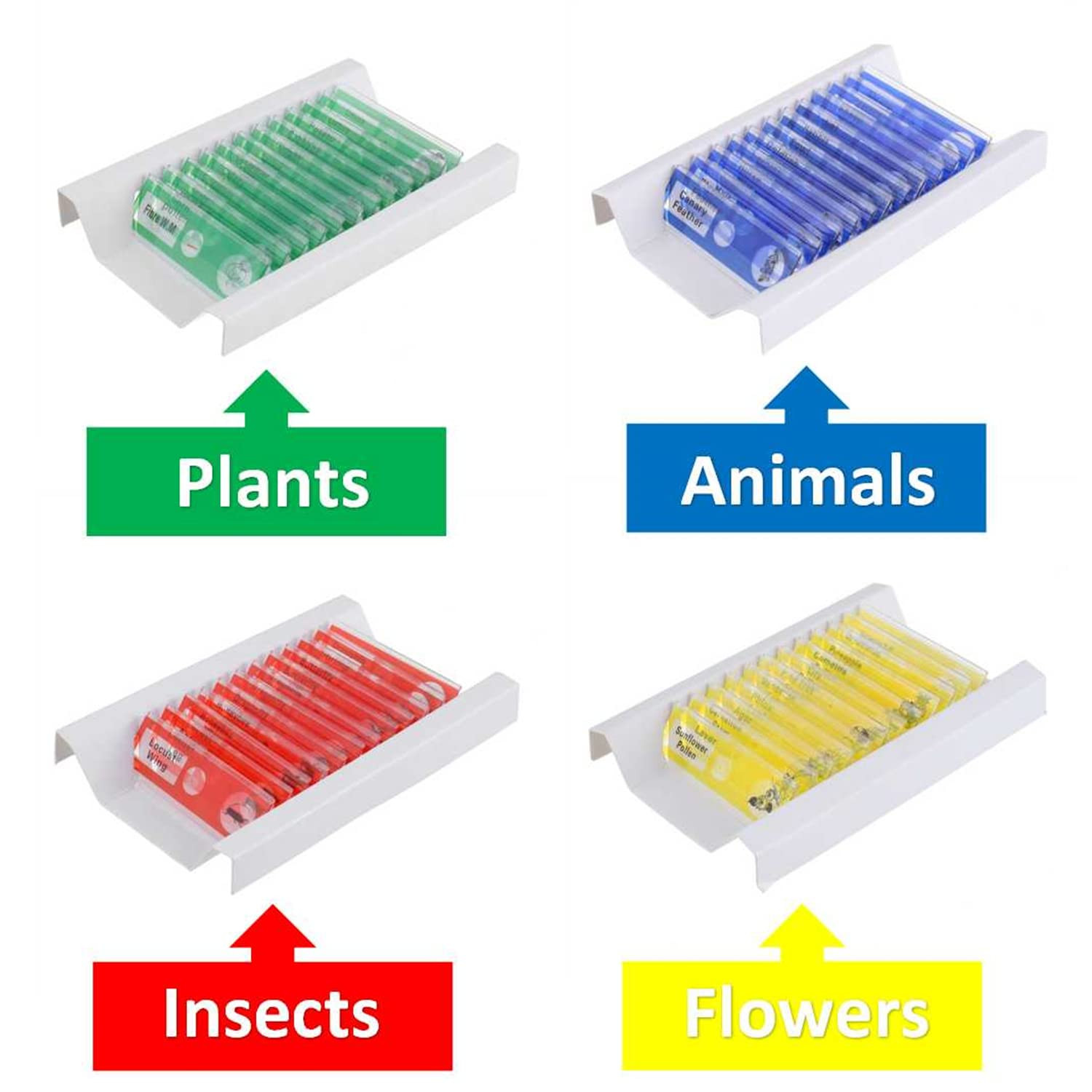 48 PCS Prepared Microscope Slides Set Insects Animals Flowers Plants Plastic ...