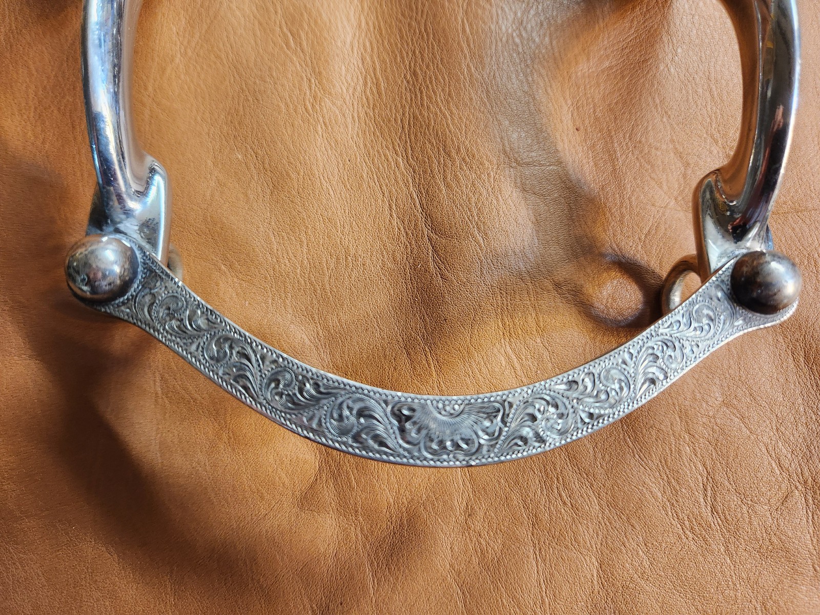 Western Sterling Silver Low Port Curb Bit