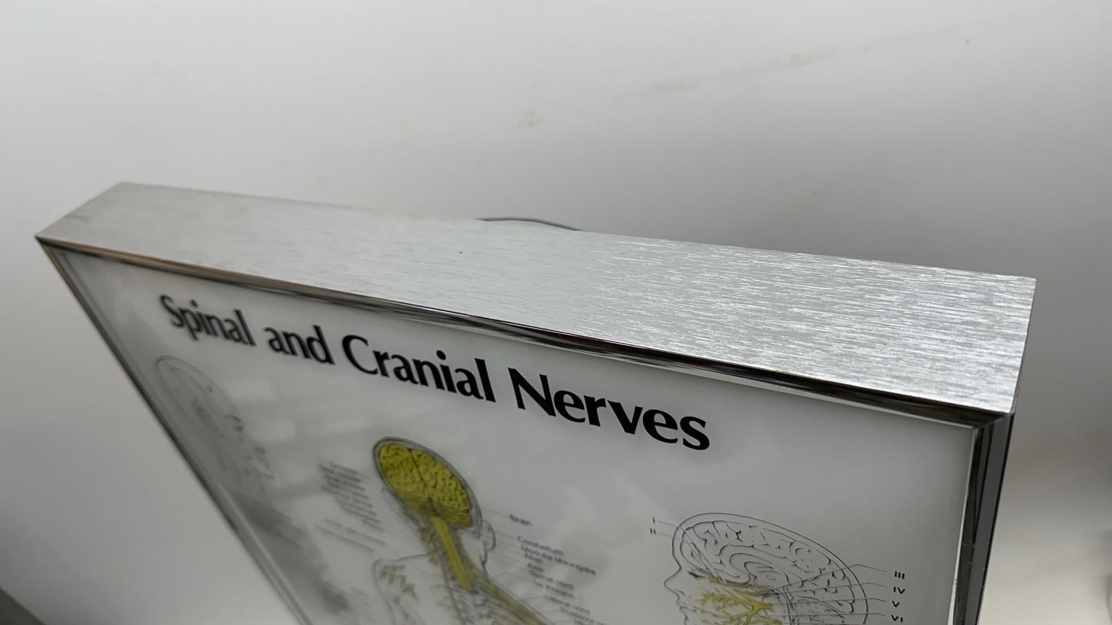 Visual Odyssey Neuropatholator Medial Display - Powers on for Parts Repair READ