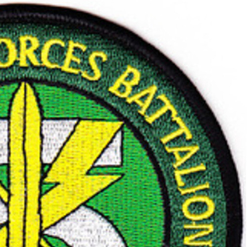 5th Battalion 19th Special Forces Group Airborne Patch