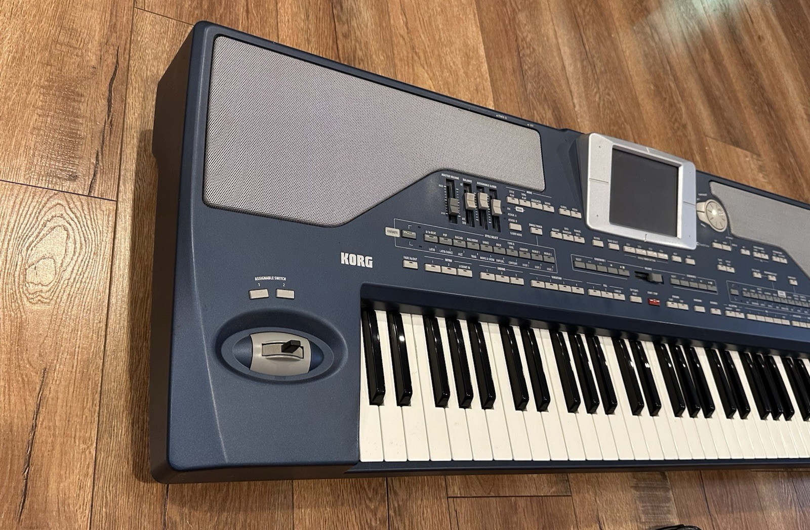 Korg PA-800 Professional Arranger..........#2