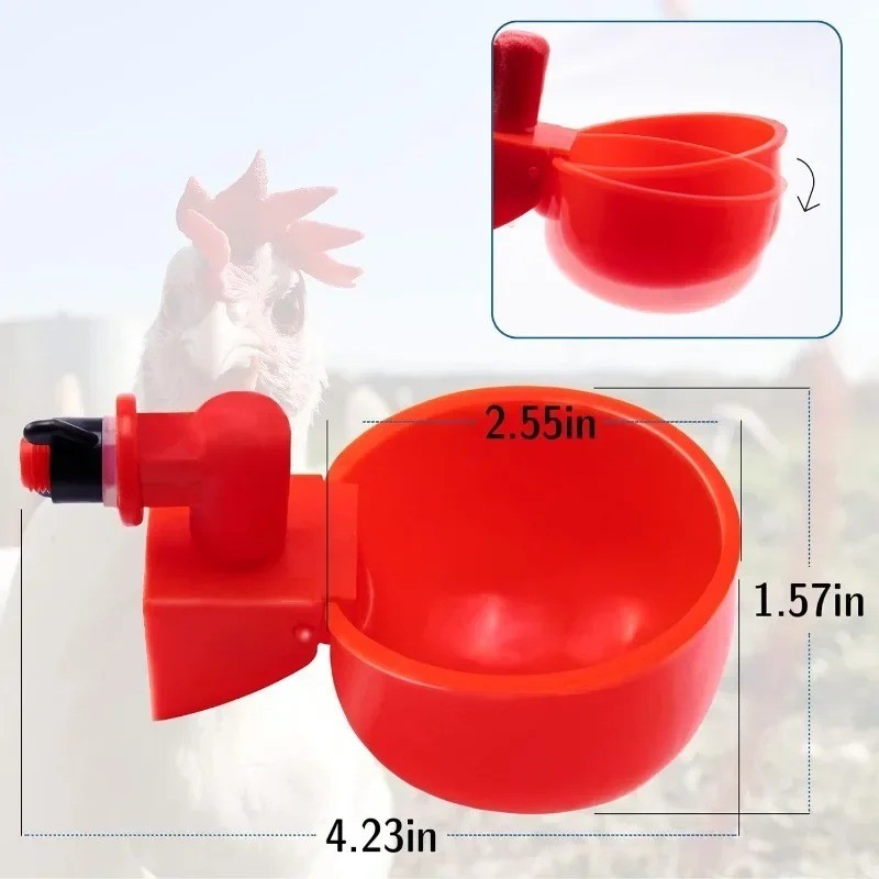 10PCS Chicken Waterer Cups 3/8 Inch Thread Poultry Drinking Feeder