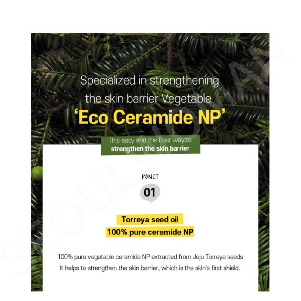 DEEPROVE Ceramide Cream 60mL Eco Ceramide NP 10,000ppm