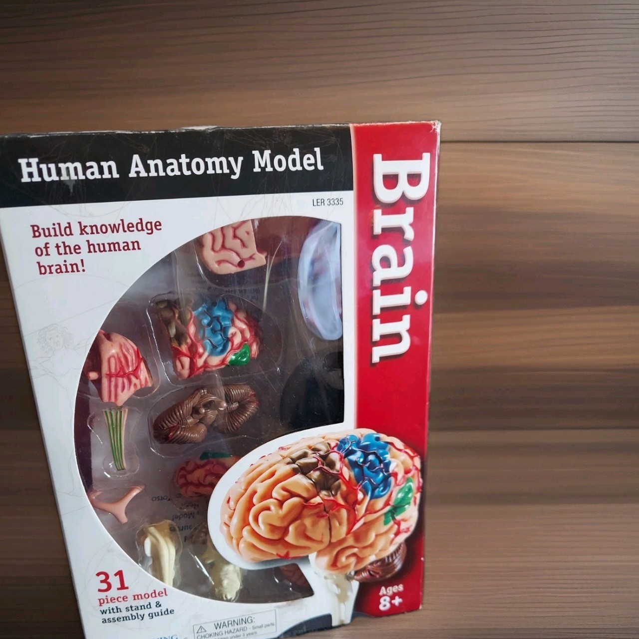 Learning Resources Human Anatomy Brain Model 31 Pieces NIB Homeschooling Nursing
