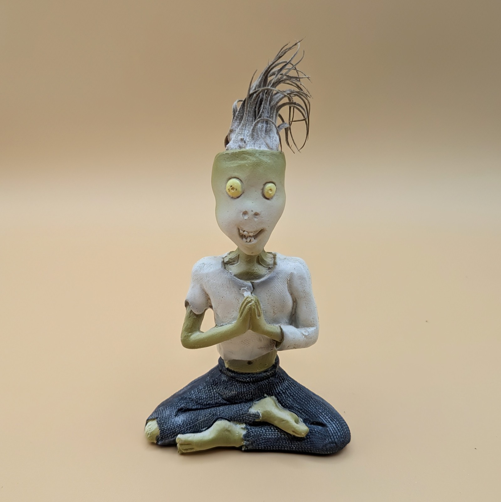 LiveTrends Na'Maste Dead Zombie Dried Air Plant Hair YOGA Energy Pose YOGI Spook