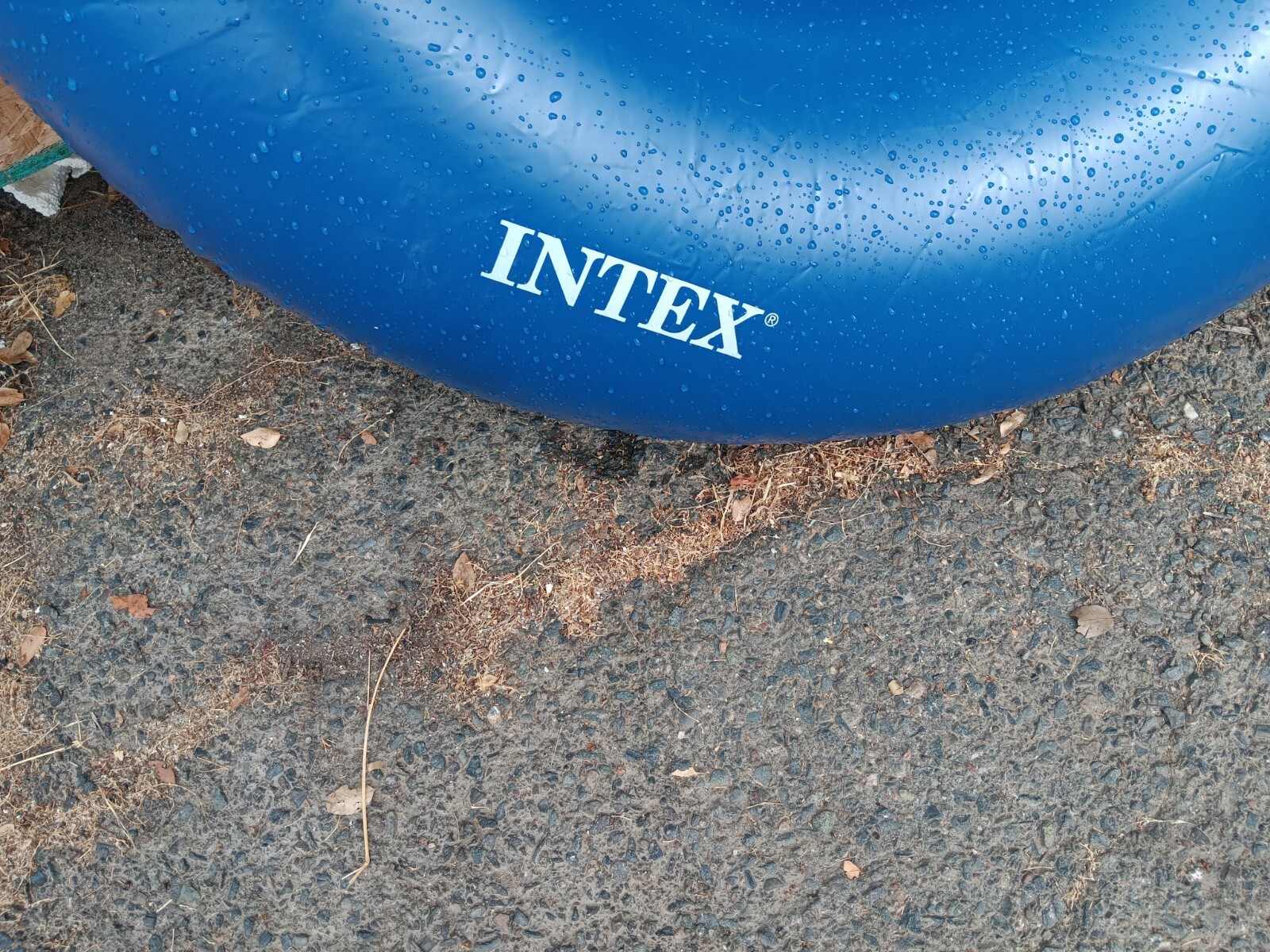 Flotation Tube's