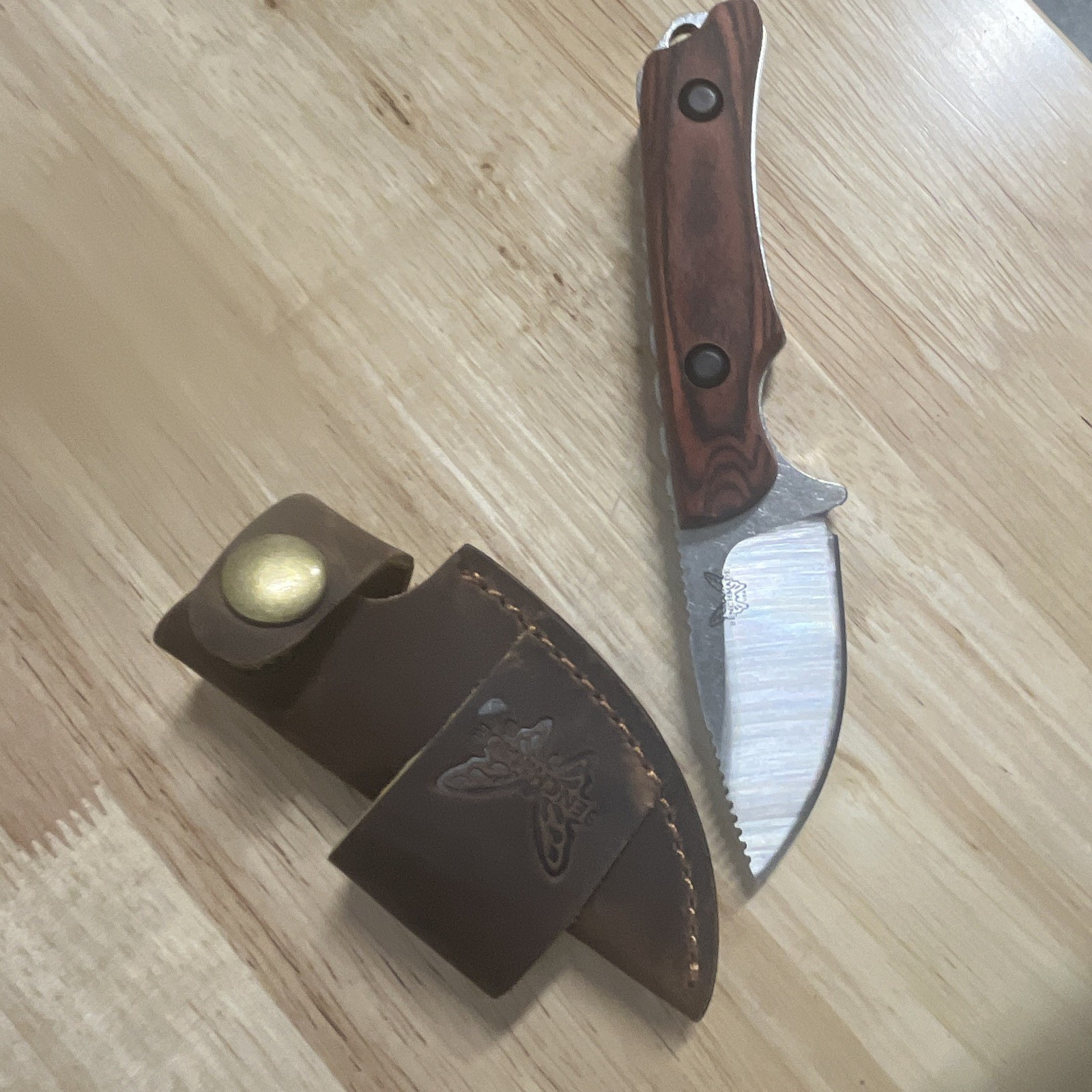 Benchmade Hunting Fixed Blade Knife Stainless Drop Point Combo 3-3.49in, Sheath