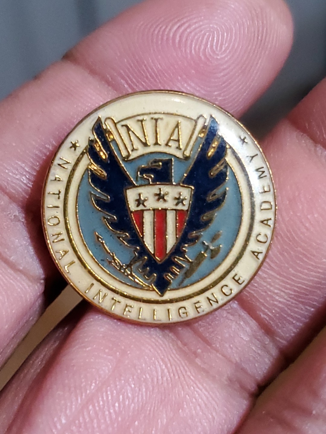 United States National Intelligence Academy Pin