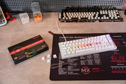 MX2A Experience Box, 10 Piece Sample Tester, Mechanical Keyboard Color Sampler