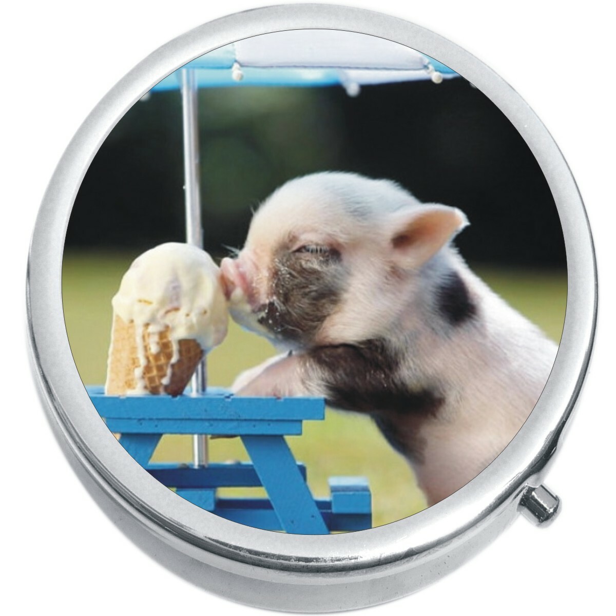 Ice Cream Baby Pig Medicine Vitamin Pill Box