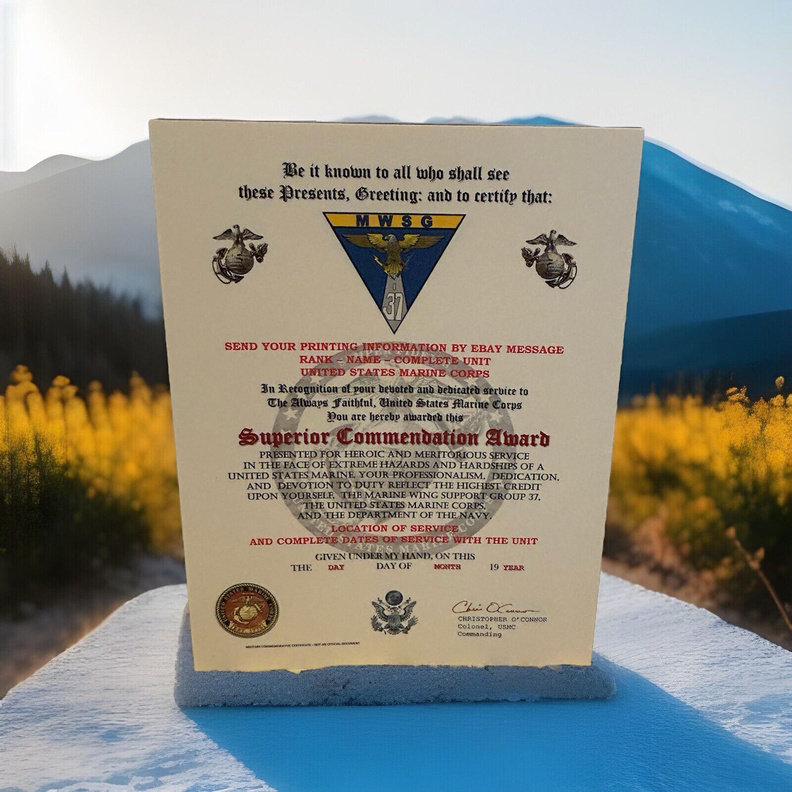 U.S.M.C. / MARINE WING SUPPORT GROUP 37 - SUPERIOR COMMENDATION AWARD