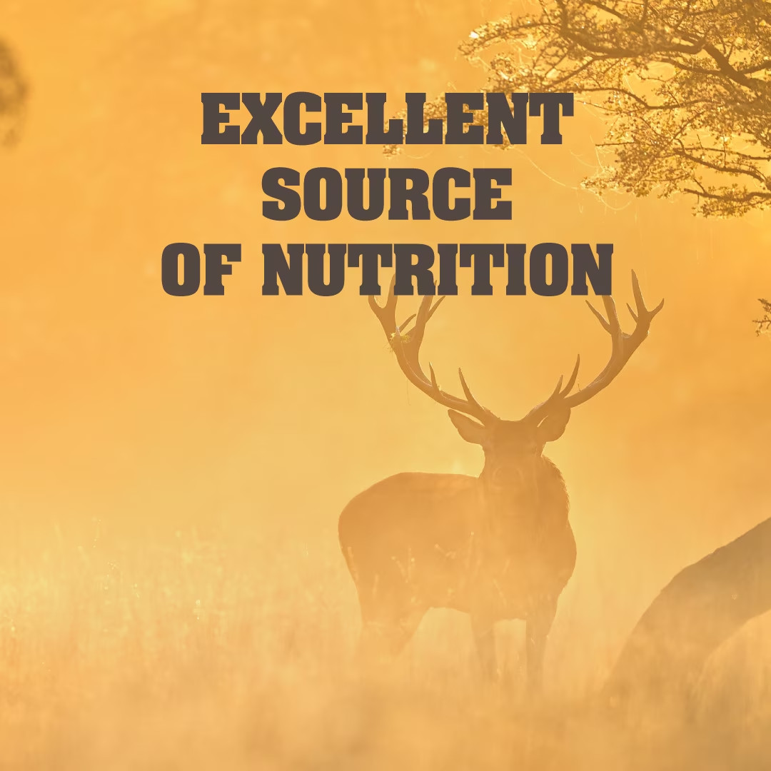 Manna Pro Top Score Apple Deer Corn 30lb