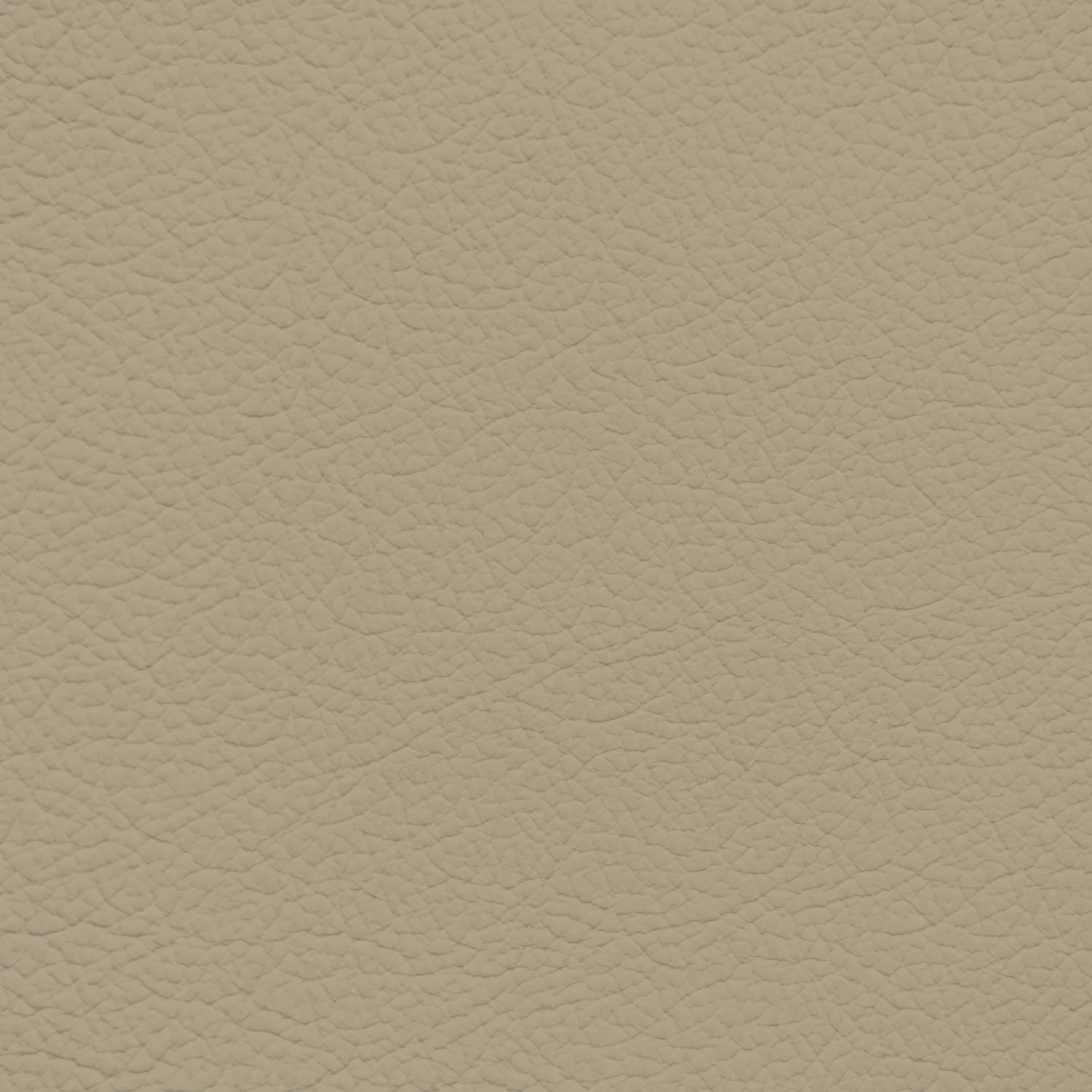 GM Light Natural Beige Leather Dye