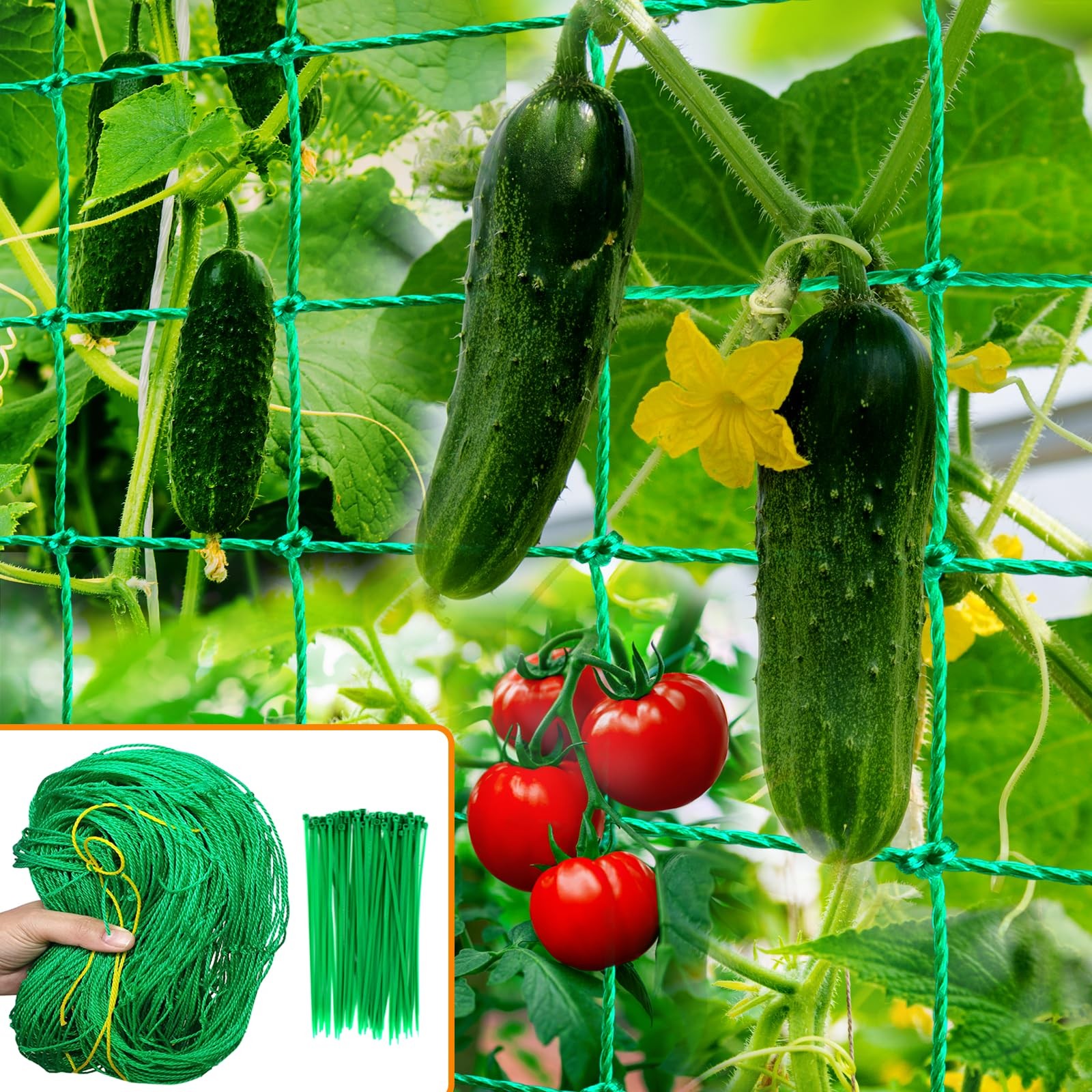 Trellis Netting, Garden Netting for Plants, 6.6x9.85 6.6 x 9.85 FEET, Green