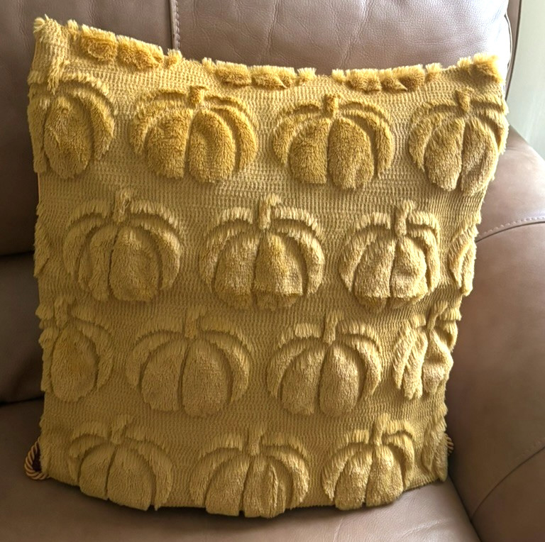 Pumpkin Plush Pillow Cover Decorative Home Accent Soft Comfortable 17 x 17