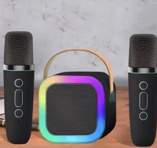 Mini Karaoke ,Portable Bluetooth Speaker With 2 Wireless Microphones