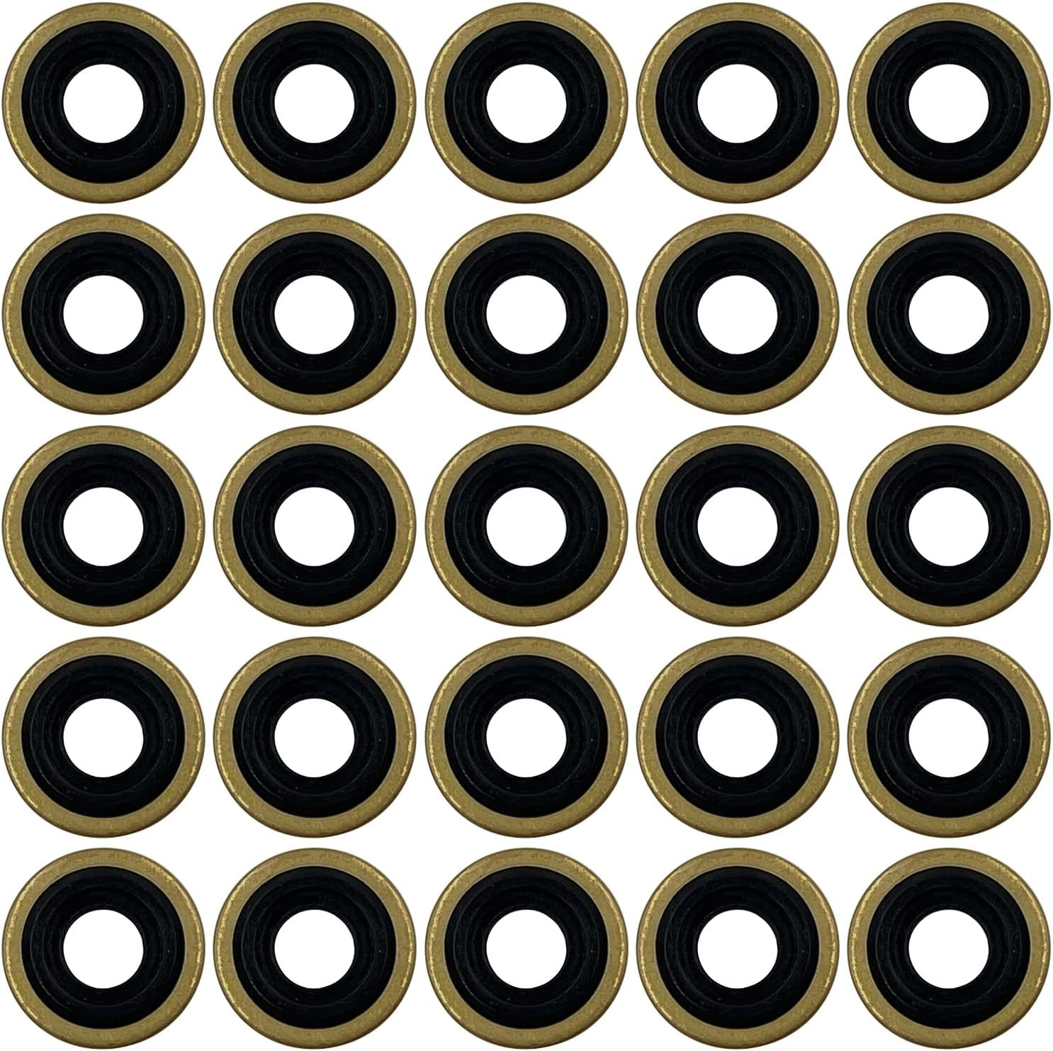 25Pk Oxygen Regulator Yoke Washer Seals