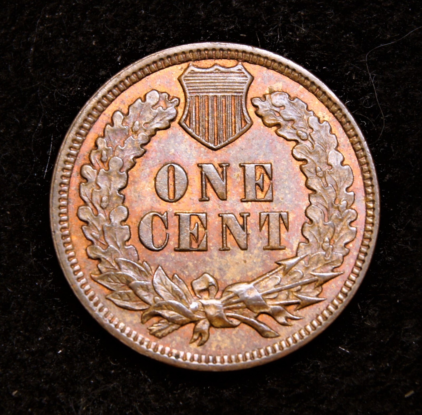 1899 Indian Head Cent MS+++++