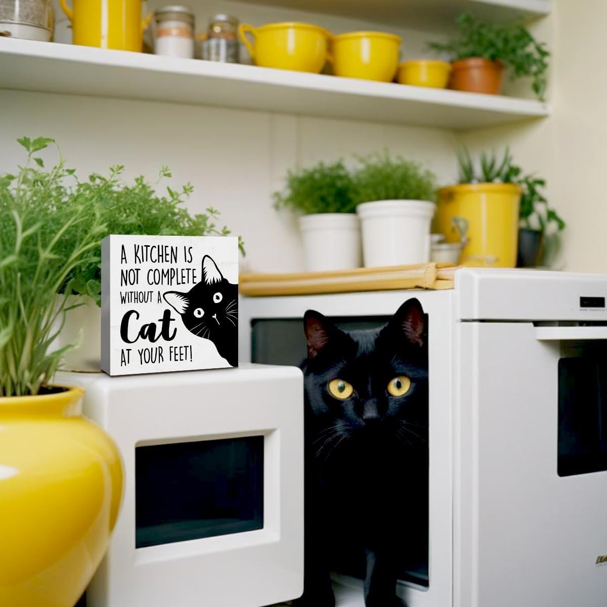 Funny Kitchen Table a kitchen is not complete without a cat at your feet