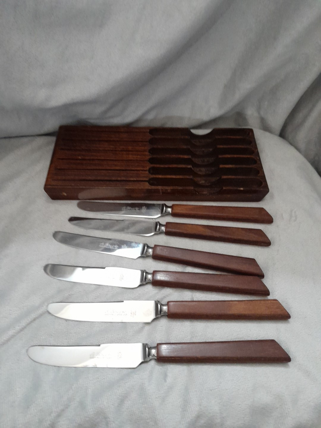 Vintage Set Of 6 Knifes A. Petre & Co. England  Forged Stainless Steel With Case
