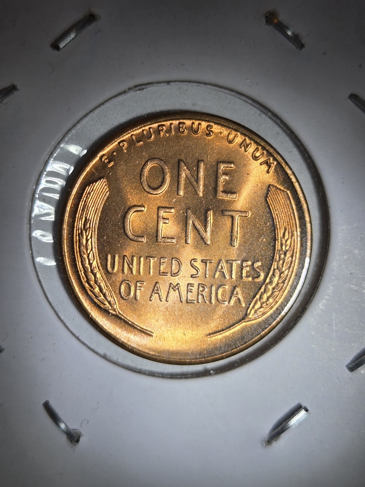1956 Lincoln Cent Doubled Die Obverse And Reverse!