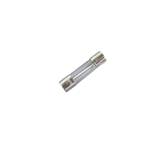 Graco 119276 12.5 AMP Fuse -OEM