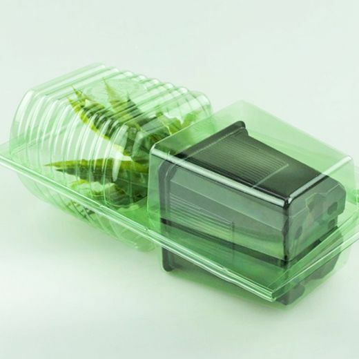 Clone Shipper for Shipping Young Plant Cuttings Propagation Germination