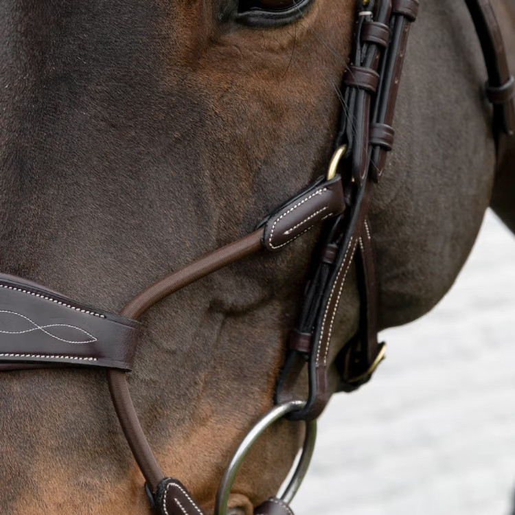 Dion Elastic Hybrid Noseband