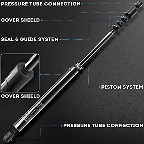 Tailgate Rear Trunk Lift Supports Shock Struts Compatible with Select