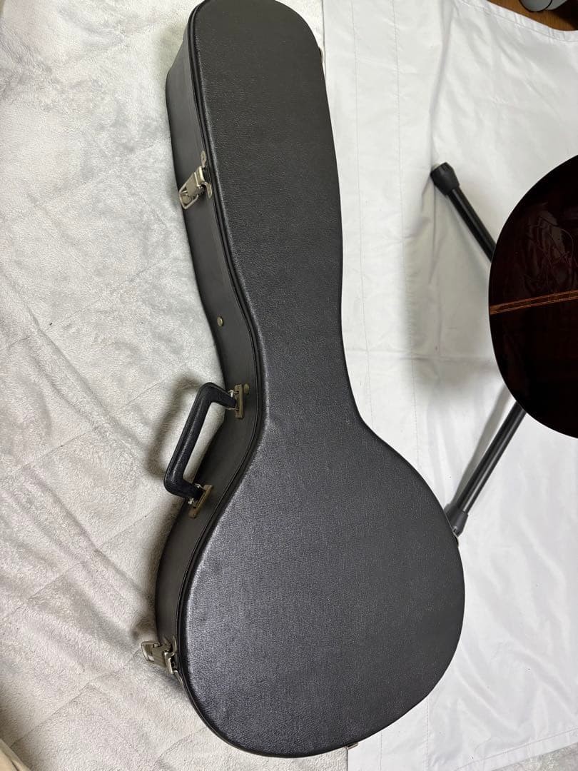 Oscar Schmidt Stella 12-string (1920s)