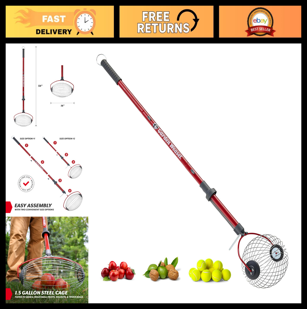 Large Nut Gatherer Roller - Ergonomic Nut Collector Tool for Walnuts & Tennis Ba