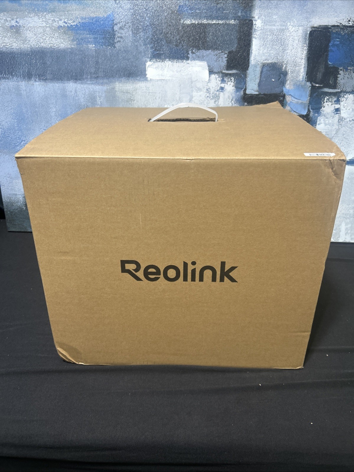 Reolink Security System