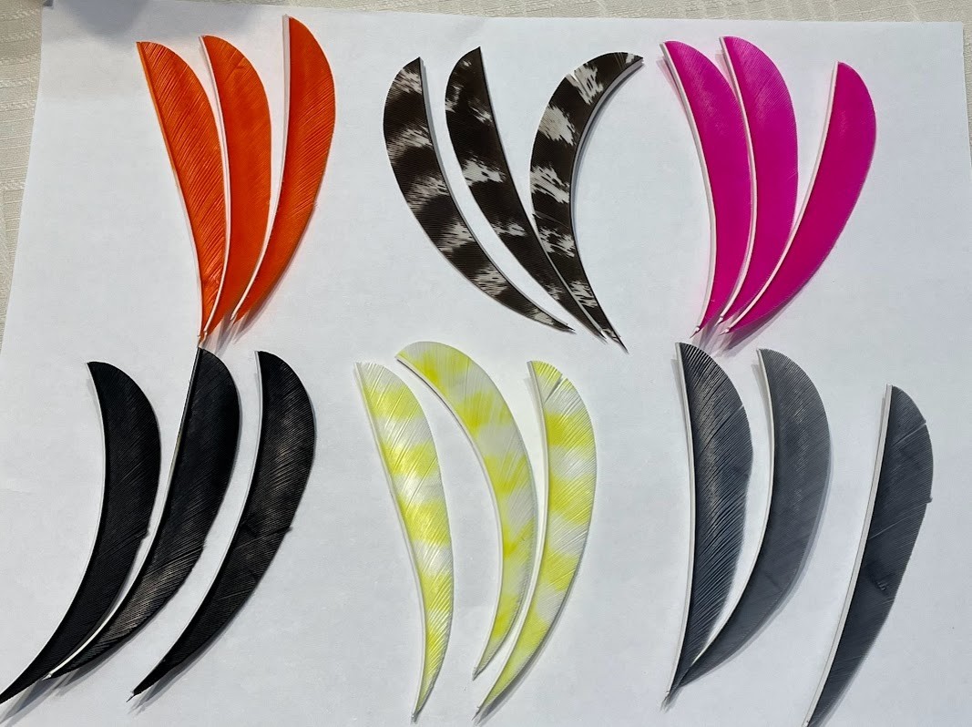 5" New-50pack FREE SHIPPING! Right Wing Real Turkey Feather  forArrows and Darts