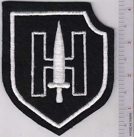 German Army Armored Division Hohenstaufen 9th Panzer Patch NO TARIFF