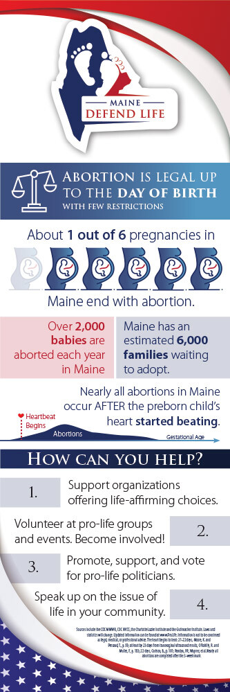Maine Banner with Stand Pro-Life Vinyl Sign