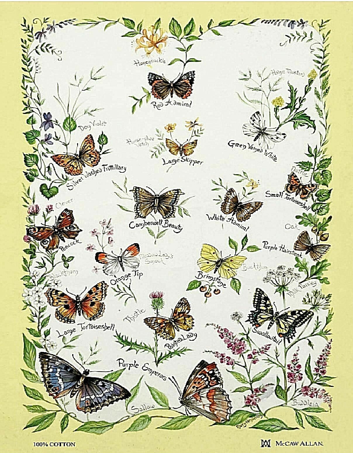 SAMUEL LAMONT, FLORAL BUTTERFLIES KITCHEN / TEA TOWEL, 100% COTTON, IMPORTED
