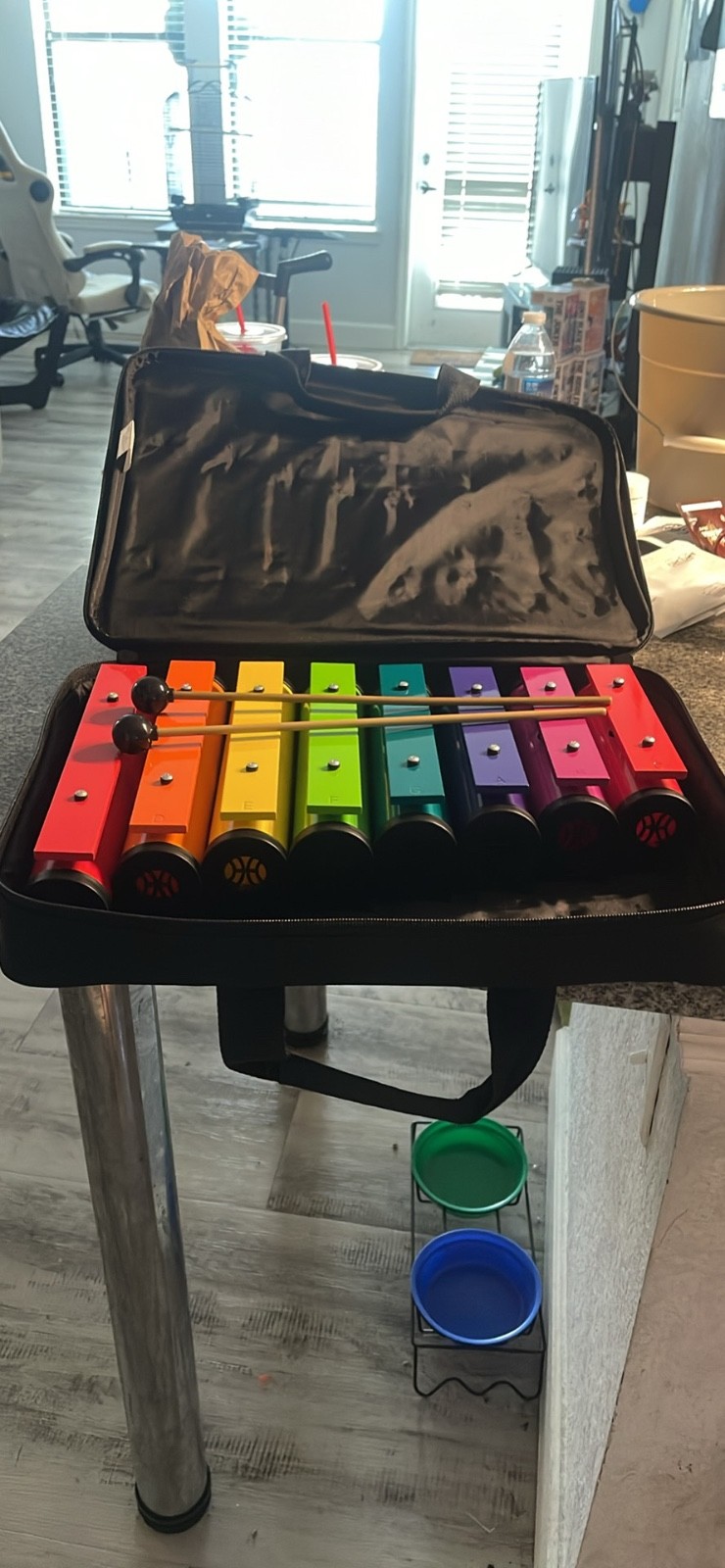 xylophone