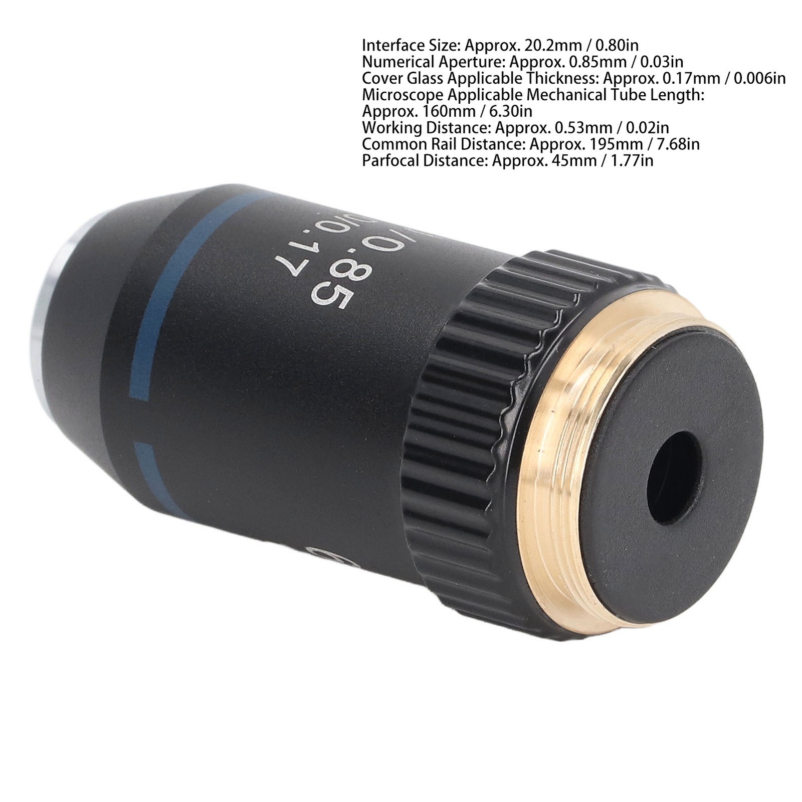Achromatic Objective Brass 60X Microscope Lens Interface 20.2mm